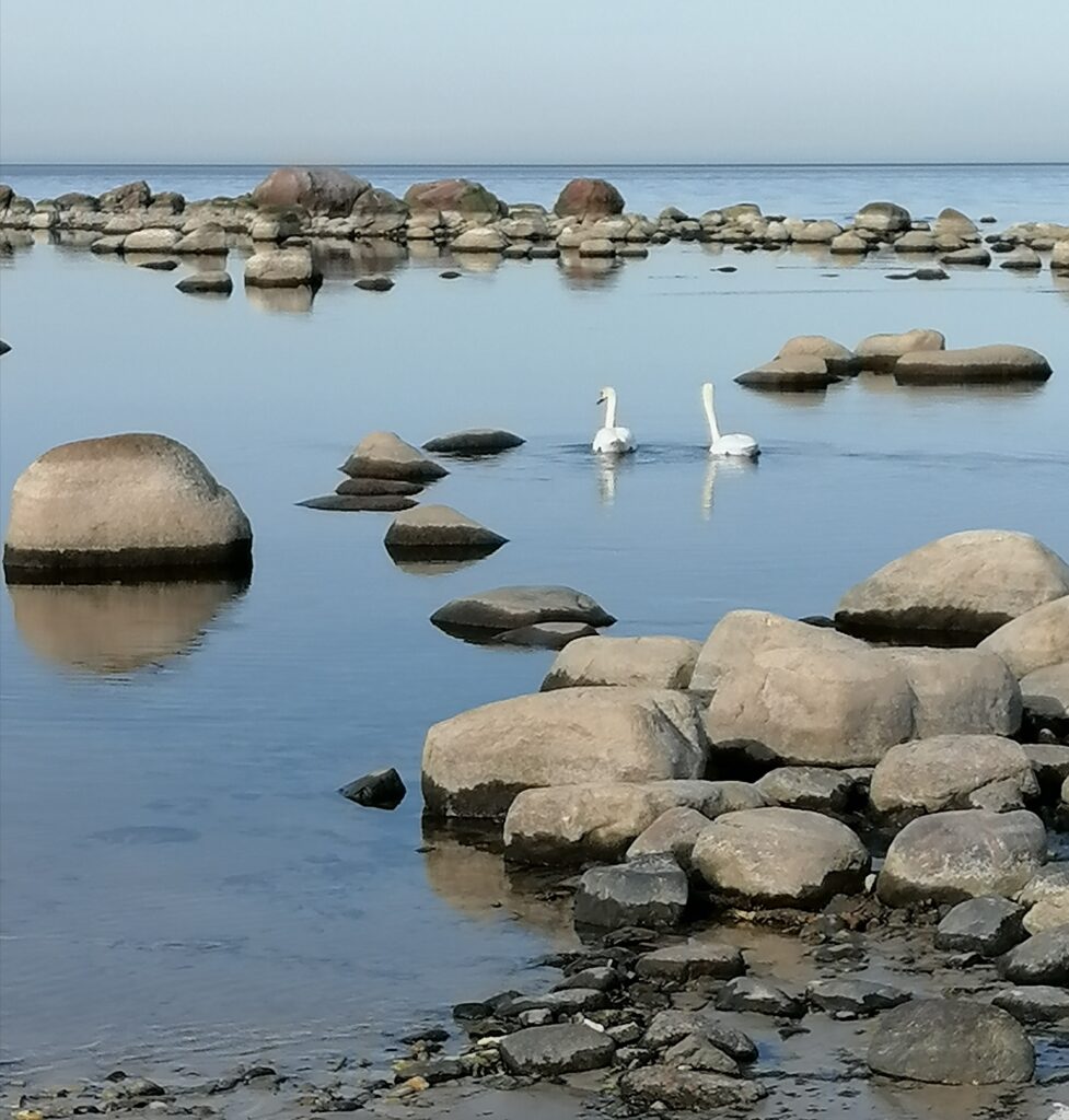 oznormb