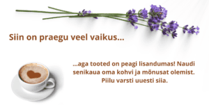 siin on vaikus
