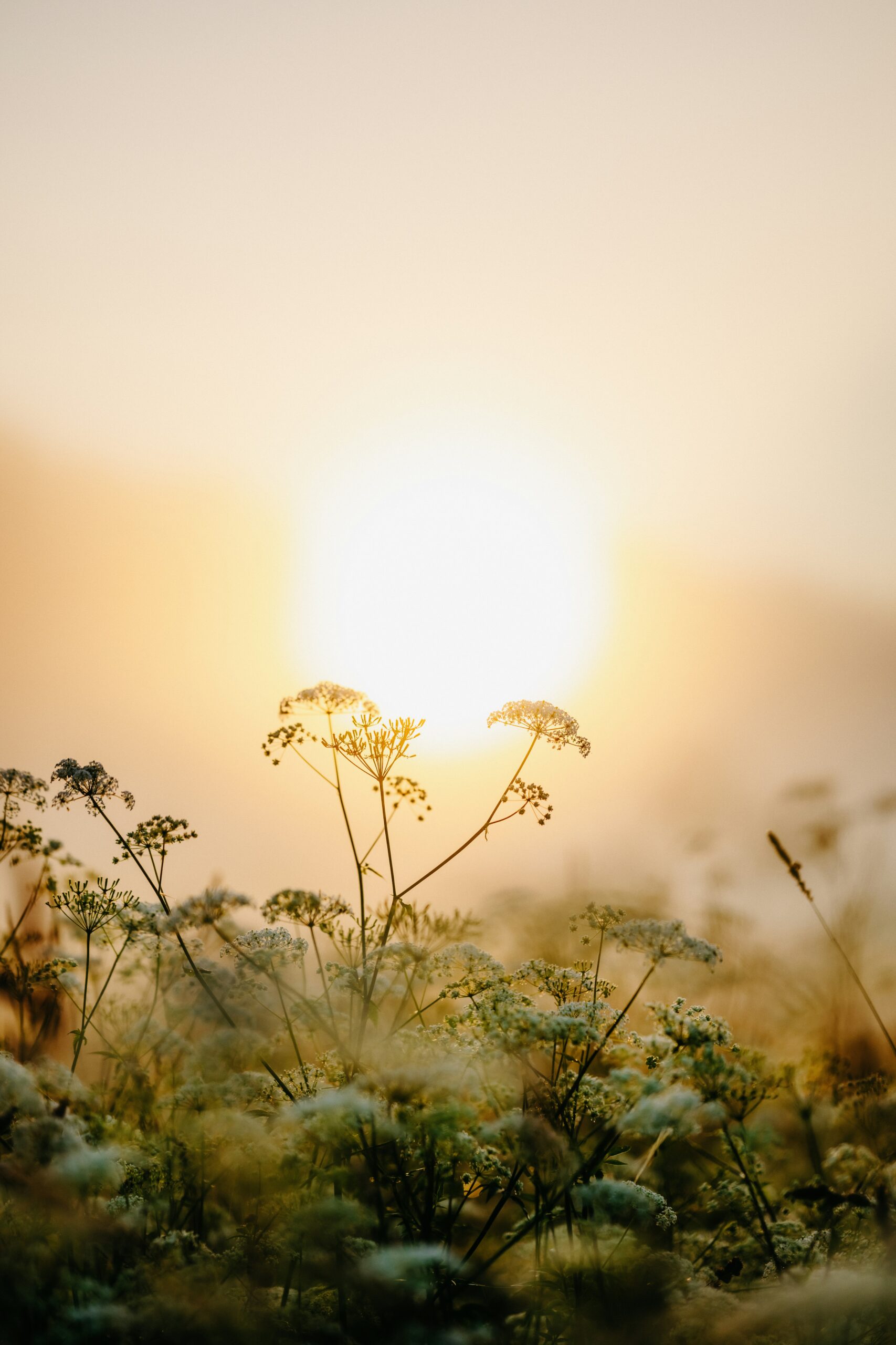 kristaps ungurs svly6y5sckm unsplash